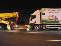 L’avvocato Serafino interviene in tutela del “Caseificio Molise”